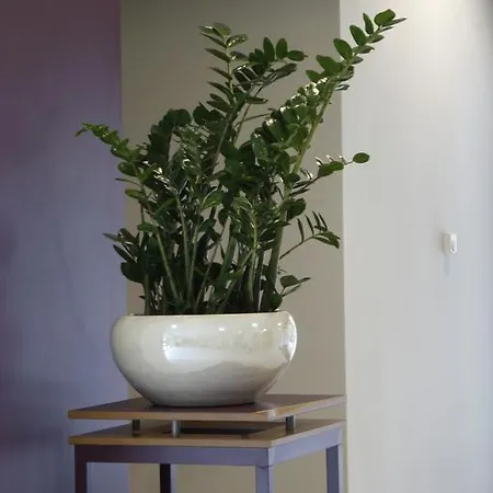 بيت شباب Szent Gellert *