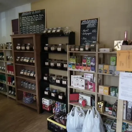 بيت شباب Szent Gellert *