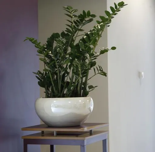 Ostello Szent Gellért *